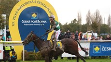 TO JE RADOSTI, TO JE EUFORIE! 127. Velkou pardubickou ovládl No Time To Lose v... TO JE RADOSTI, TO JE EUFORIE! 127. Velkou pardubickou ovládl No Time To Lose v...