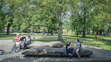 Vítězné Jiráskovy sady v Litoměřicích. Vítězné Jiráskovy sady v Litoměřicích.