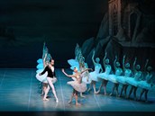 St. Petersburg Festival Ballet uvede úchvatná baletní představení. St. Petersburg Festival Ballet uvede úchvatná baletní představení.