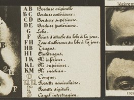 Obrazy s popisem bertillonáe, jak se jeho metoda nazývala, vlastní newyorské...
