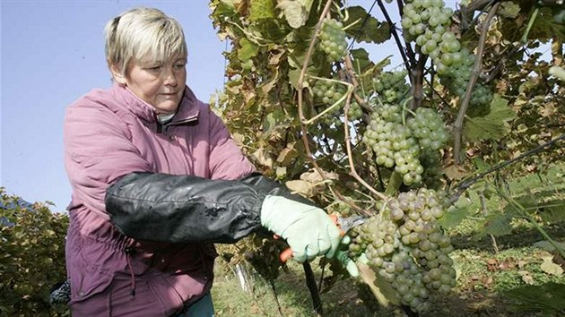 Ilustrační snímek