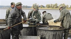 Výlovy rybníků patří i na Vysočině mezi oblíbené a hojně navštěvované podzimní... Výlovy rybníků patří i na Vysočině mezi oblíbené a hojně navštěvované podzimní...