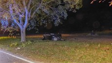 Osobní auto bylo po nárazu do stromu zcela zdemolované (14. října 2017) Osobní auto bylo po nárazu do stromu zcela zdemolované (14. října 2017)