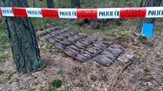 Nalezená munice v lese na Chrudimsku. Nalezená munice v lese na Chrudimsku.