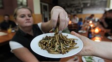 Hmyz urený ke konzumaci je podle kuchae Milana Václavíka speciáln...