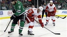 Martin Hanzal z Dallasu se pokouší přelstít Franse Nielsena z Detroitu. Martin Hanzal z Dallasu se pokouší přelstít Franse Nielsena z Detroitu.