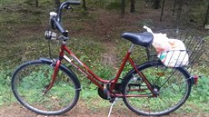 Senior podle svědka odstavil své kolo na okraji Krotějova, v lesním masivu u... Senior podle svědka odstavil své kolo na okraji Krotějova, v lesním masivu u...
