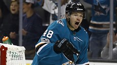 Tomáš Hertl ze San Jose se raduje z gólu v zápase s Buffalem. Tomáš Hertl ze San Jose se raduje z gólu v zápase s Buffalem.
