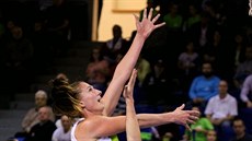 Ilona Burgrová (v bílém) z KP Brno zakončuje na koš Wasserburgu. Ilona Burgrová (v bílém) z KP Brno zakončuje na koš Wasserburgu.