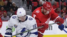 Nick Jensen (vpravo) z Detroitu se přetlačuje s Ondřejem Palátem z Tampy. Nick Jensen (vpravo) z Detroitu se přetlačuje s Ondřejem Palátem z Tampy.