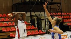 Teja Oblaková (vpravo) ze Szekszárdu při bránění Krystal Vaughnové z Nymburka. Teja Oblaková (vpravo) ze Szekszárdu při bránění Krystal Vaughnové z Nymburka.