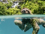 Záběr z filmu Earth: Den na zázračné planetě Záběr z filmu Earth: Den na zázračné planetě