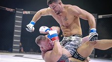 TUMÁŠ. V pardubické aréně se dnes od 19 hodin uskuteční galavečer MMA... TUMÁŠ. V pardubické aréně se dnes od 19 hodin uskuteční galavečer MMA...