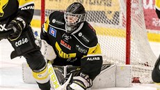 Brankář Västeräs Jesper Wallstedt. Brankář Västeräs Jesper Wallstedt.