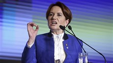 Zakladatelka a předsedkyně nové turecké Strany dobra Meral Akşenerová. (25.... Zakladatelka a předsedkyně nové turecké Strany dobra Meral Akşenerová. (25....