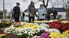 Blíží se Dušičky. Lidé při Památce zesnulých zavzpomínají na své blízké. Blíží se Dušičky. Lidé při Památce zesnulých zavzpomínají na své blízké.