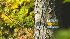 Chůze je příjemná v každém ročním období Chůze je příjemná v každém ročním období