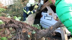 Hasiči likvidovali následky vichřice po celých západních Čechách. Snímek... Hasiči likvidovali následky vichřice po celých západních Čechách. Snímek...