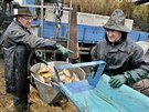 Prvn veejn vlov Dolnho Padrskho rybnka v Brdech po oteven nkdejho...