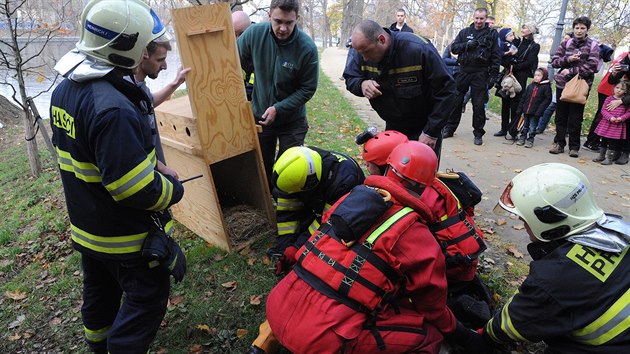 Prat hasii zachrnili z koryta Vltavy daka (5. listopadu 2017).