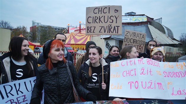 Aktivist protestuj proti zneuvn zvat v cirkusech. (9. listopadu 2017)