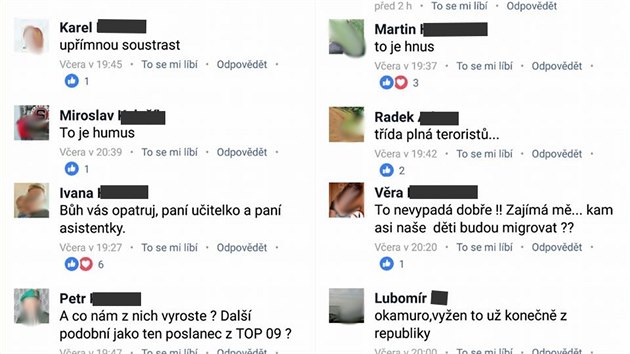 Nenvistn pspvky na Facebooku