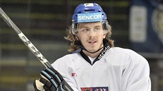 Libor Šulák na tréninku české hokejové reprezentace před turnajem Karjala. Libor Šulák na tréninku české hokejové reprezentace před turnajem Karjala.