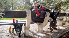 Skupinky, které tvoří většinou bezdomovci, obsadily Husův park v Táboře. Často... Skupinky, které tvoří většinou bezdomovci, obsadily Husův park v Táboře. Často...