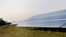 Fotovoltaická elektrárna u brnnského letit se rozkládá na 40 hektarech a má...