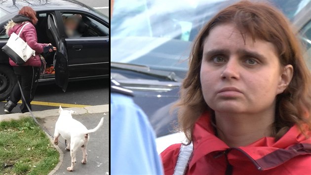 Recidivistka Alice Večerková, které soudy zakázaly chovat zvířata, má dalšího psa (16. 11. 2017)