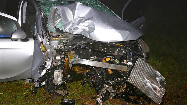 Pi dopravn nehod v Plzni zemela dvaatyicetilet Britka Emma Fryerov (13. listopadu 2017)