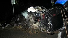 Jednadvacetiletý řidič volkswagenu nepřežil náraz s do stromu (19. listopadu... Jednadvacetiletý řidič volkswagenu nepřežil náraz s do stromu (19. listopadu...