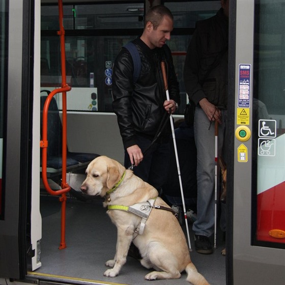 V nkterých typech tramvají, pedevím u nejnovjího typu 13T, je vak u...