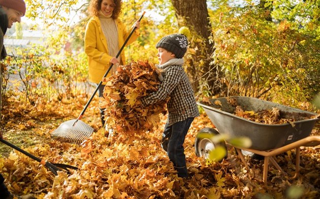 Listí dejte na kompost, příští rok budete mít perfektní humus.