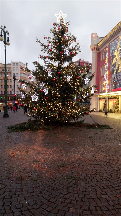 Vánoní stromeek na námstí Republiky
