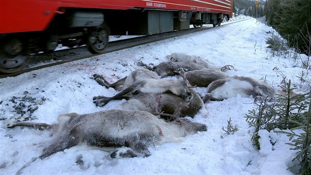 Vce ne stovka sob zahynula bhem nkolika poslednch dn na severu Norska pi srkch se temi nkladnmi vlaky. (25. listopadu 2017)