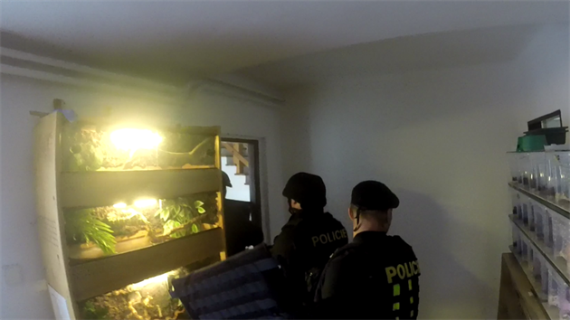 Policist v dom objevili nelegln pstrnu marihuany a tak terria s plazy (24. listopadu 2017)