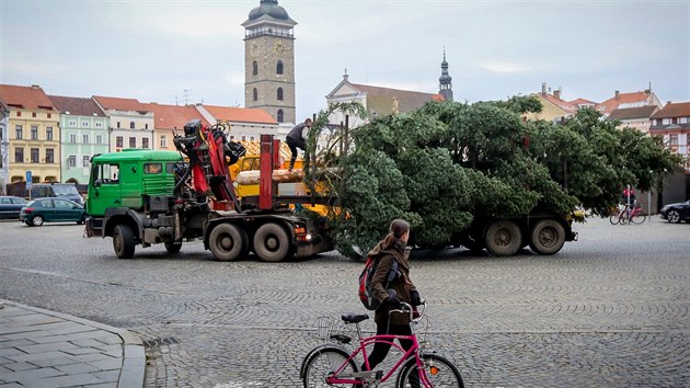 Pjezd a stavba vnonho stromu na nmst Pemysla Otakara II. v eskch Budjovicch.