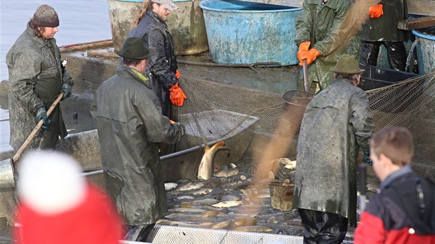Vlov Drahotnskho rybnku u Zrue si nenechaly ujt stovky lid. iv kapr nebo erstv zabit byl na prodej za 75 korun za kilogram. (25. 11. 2017)