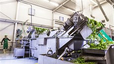 Hamé koupila lídra na trhu mražené zeleniny a ovoce Agrimex. Hamé koupila lídra na trhu mražené zeleniny a ovoce Agrimex.