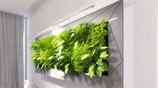 Vizualizace: Vzhled a barevnost rámů je možné přizpůsobit interiéru. Vizualizace: Vzhled a barevnost rámů je možné přizpůsobit interiéru.