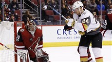 Brankář Marek Langhamer z Arizony likviduje šanci Oscara Lindberga z Vegas. Brankář Marek Langhamer z Arizony likviduje šanci Oscara Lindberga z Vegas.