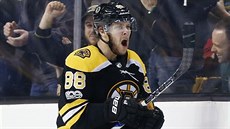 Útočník Bostonu David Pastrňák slaví gól do sítě Pittsburghu. Útočník Bostonu David Pastrňák slaví gól do sítě Pittsburghu.