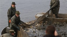 Výlov Drahotínského rybníku u Zruče si nenechaly ujít stovky lidí. Živý kapr... Výlov Drahotínského rybníku u Zruče si nenechaly ujít stovky lidí. Živý kapr...
