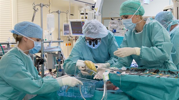 Lkai z praskho Institutu klinick a experimentln medicny na konci listopadu poprv implantovali biokompatibiln uml srdce eskmu pacientovi.