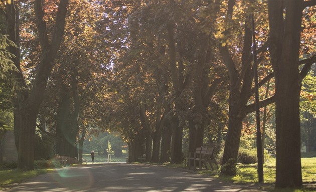 Pohled do jednoho z olomouckých park, o které se stará Výstavit Flora.