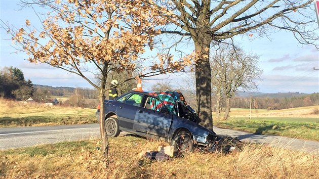 Tragick nehoda se stala mezi Lhenicemi a Hrbovem na Prachaticku.