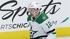 Radek Faksa oslavuje svůj gól na ledě Chicaga. Radek Faksa oslavuje svůj gól na ledě Chicaga.