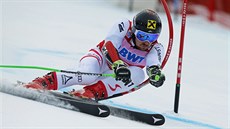 Rakušan Marcel Hirscher na trati obřího slalomu v Beaver Creeku Rakušan Marcel Hirscher na trati obřího slalomu v Beaver Creeku