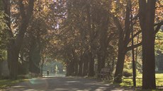 Pohled do jednoho z olomouckých parků, o které se stará Výstaviště Flora. Pohled do jednoho z olomouckých parků, o které se stará Výstaviště Flora.